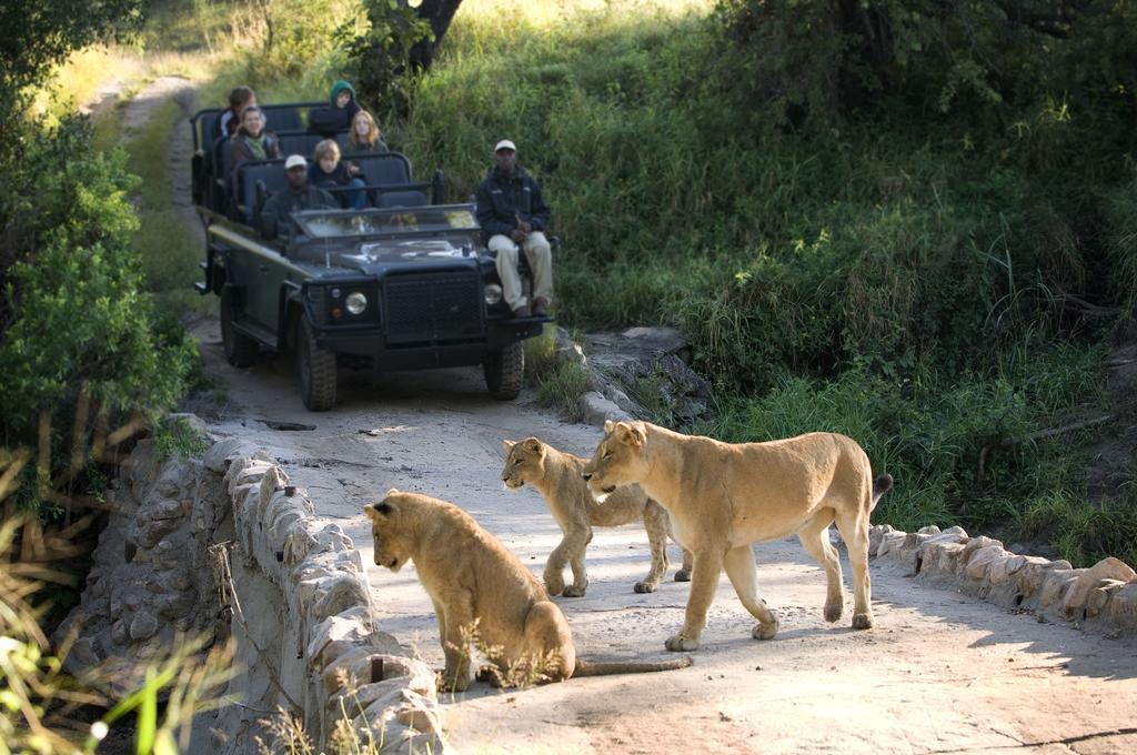 Lion Sands - Tinga Lodge Skukuza Zewnętrze zdjęcie